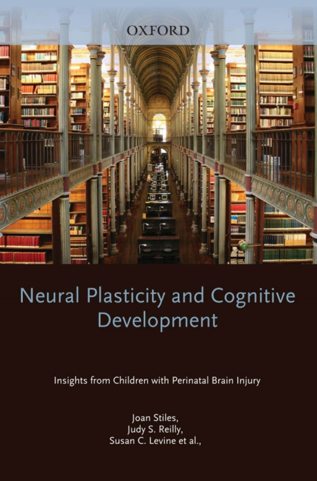 Neural Plasticity and Cognitive Development Insights from Children with Perinatal Brain Injury  â€“ PDF/EPUB Version Downloadable
