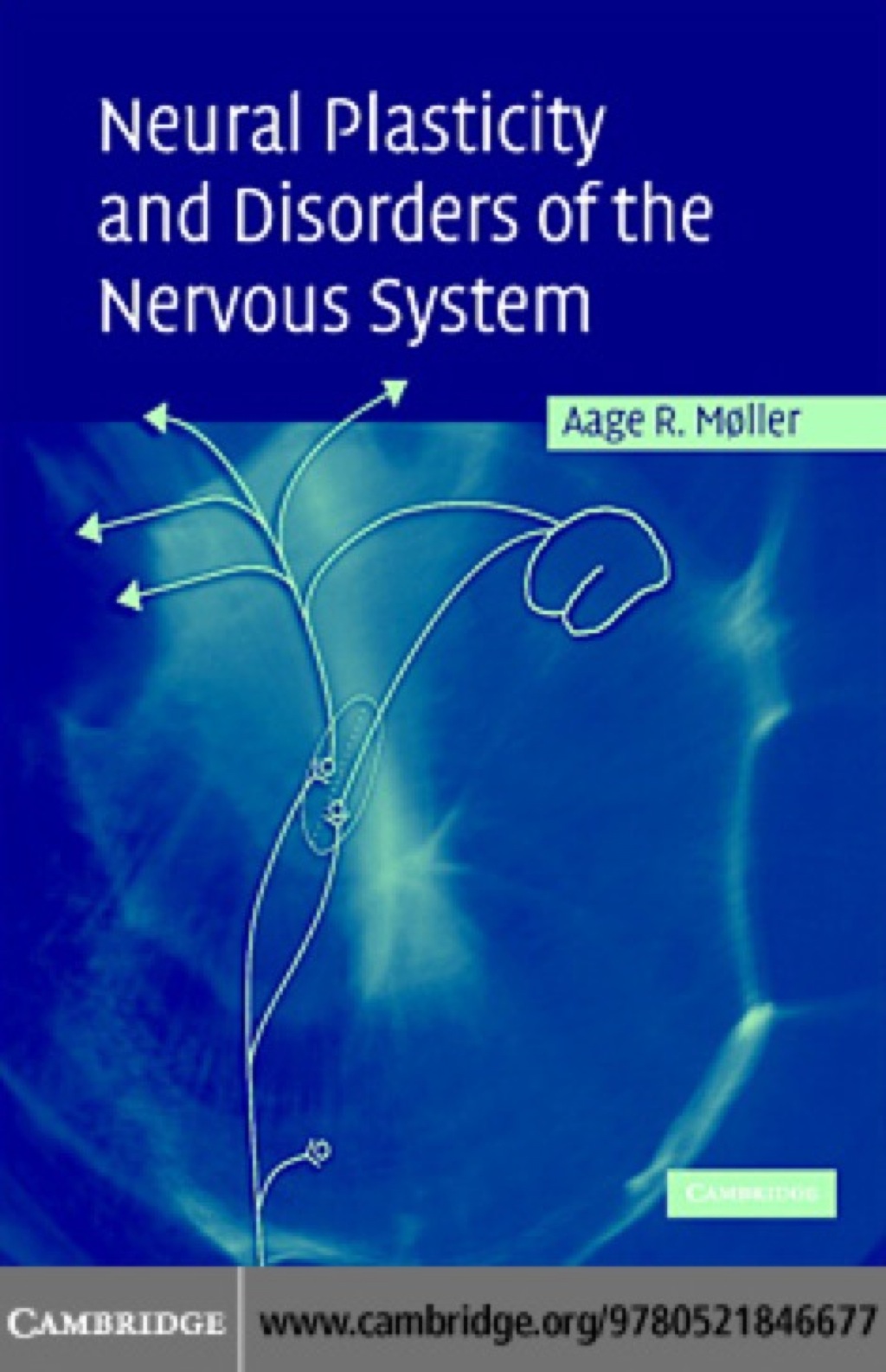 Neural Plasticity and Disorders of the Nervous System 1st Edition â€“ PDF/EPUB Version Downloadable