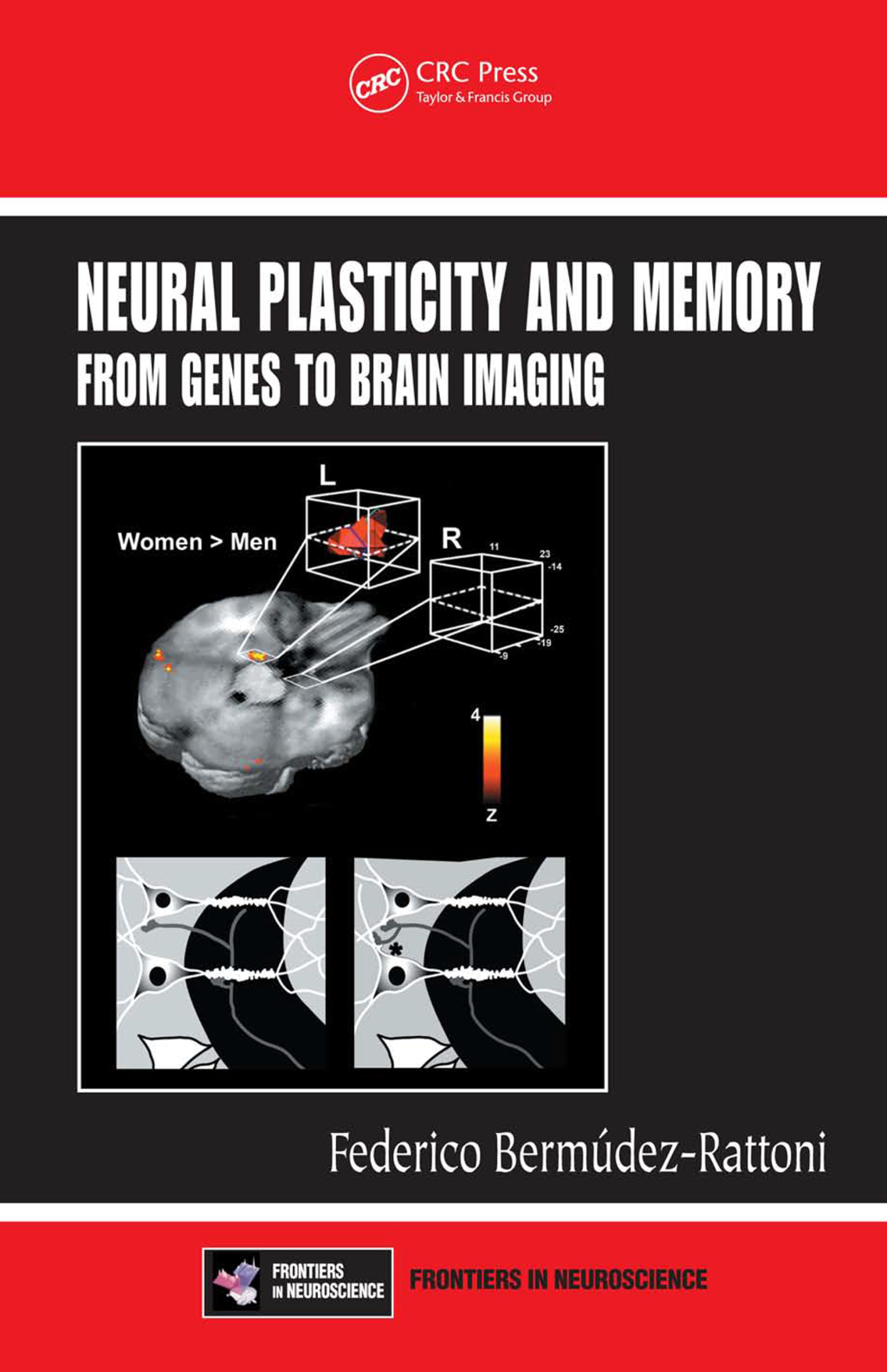 Neural Plasticity and Memory From Genes to Brain Imaging 1st Edition â€“ PDF/EPUB Version Downloadable