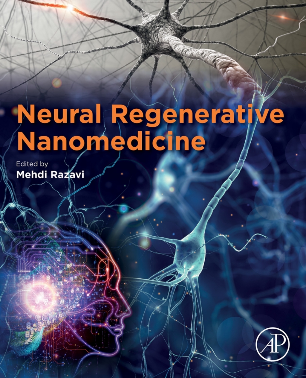 Neural Regenerative Nanomedicine 1st Edition â€“ PDF/EPUB Version Downloadable