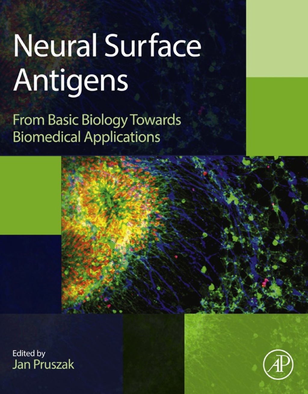 Neural Surface Antigens: From Basic Biology Towards Biomedical Applications  â€“ PDF/EPUB Version Downloadable