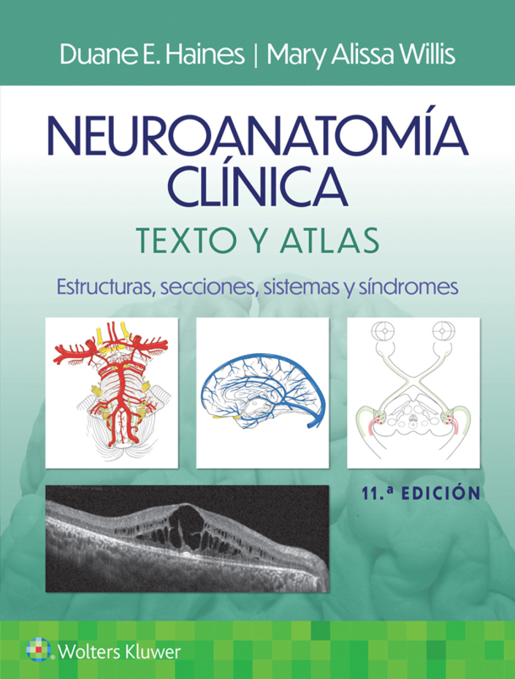 NeuroanatomÃ­a clÃ­nica. Texto y atlas 11th Edition â€“ PDF/EPUB Version Downloadable