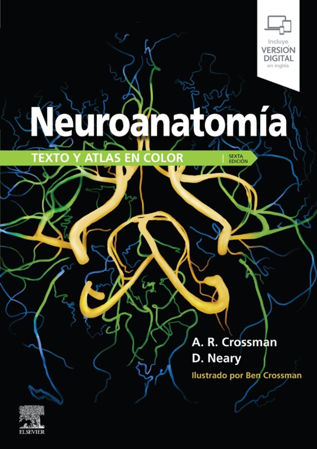 NeuroanatomÃ­a. Texto y atlas en color 6th Edition â€“ PDF/EPUB Version Downloadable
