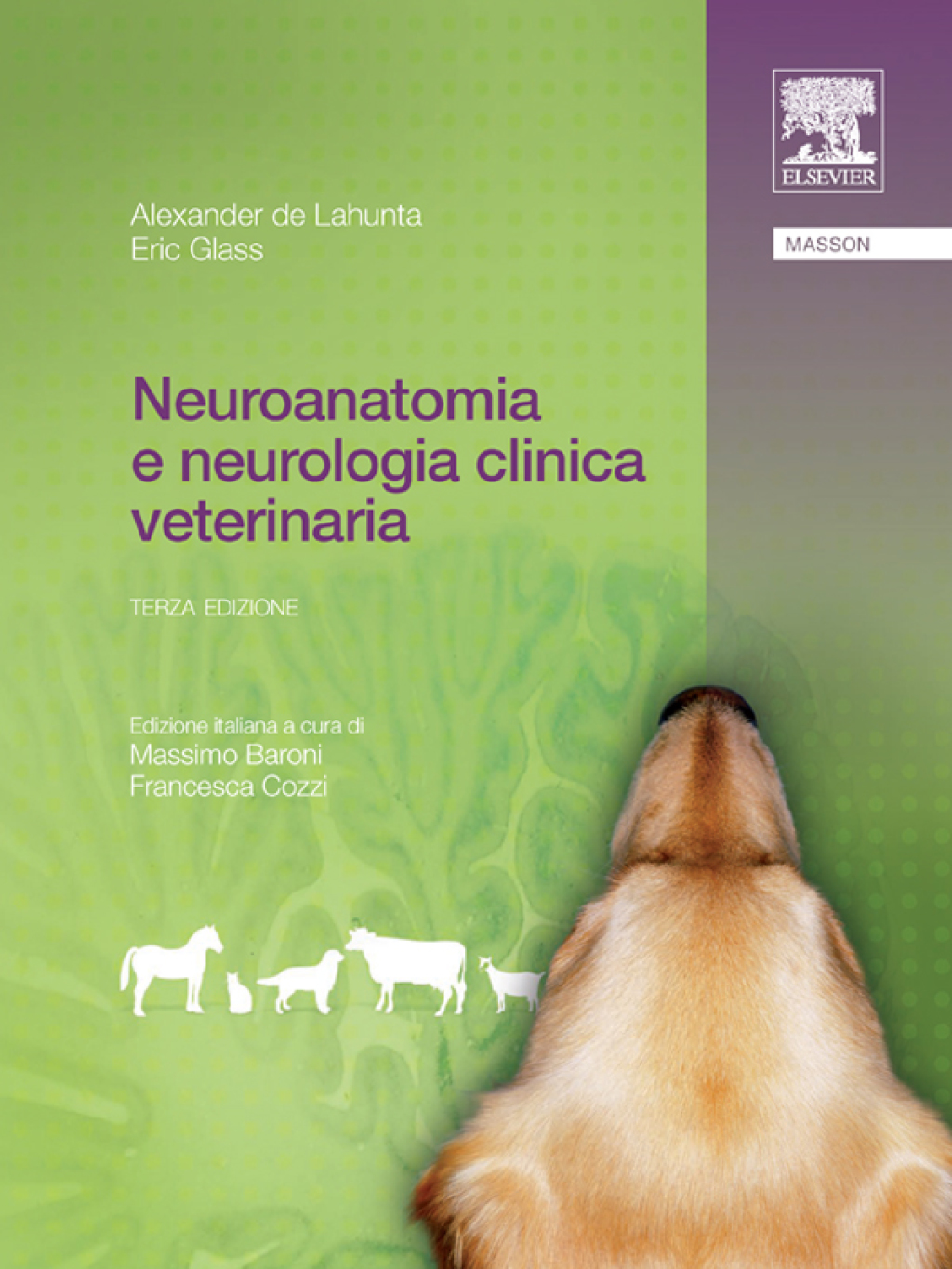 Neuroanatomia e neurologia clinica veterinaria 3rd Edition â€“ PDF/EPUB Version Downloadable
