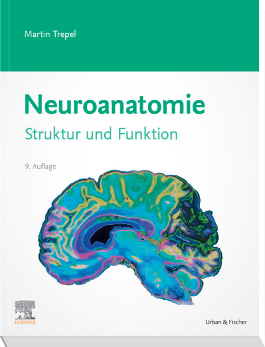 Neuroanatomie Struktur und Funktion 9th Edition â€“ PDF/EPUB Version Downloadable
