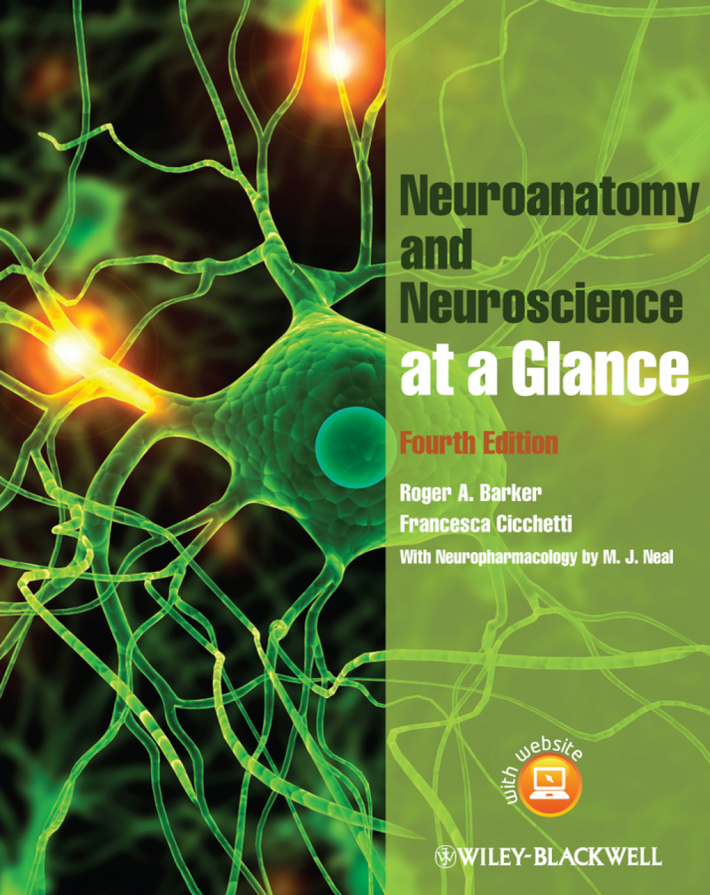 Neuroanatomy and Neuroscience at a Glance 4th Edition â€“ PDF/EPUB Version Downloadable