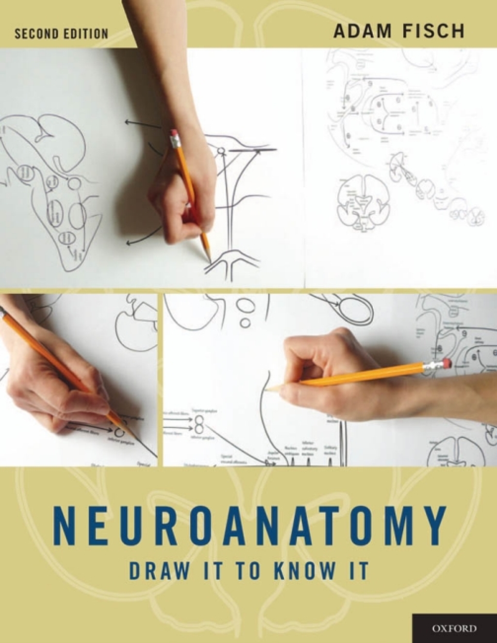 Neuroanatomy Draw It to Know It 2nd Edition â€“ PDF/EPUB Version Downloadable