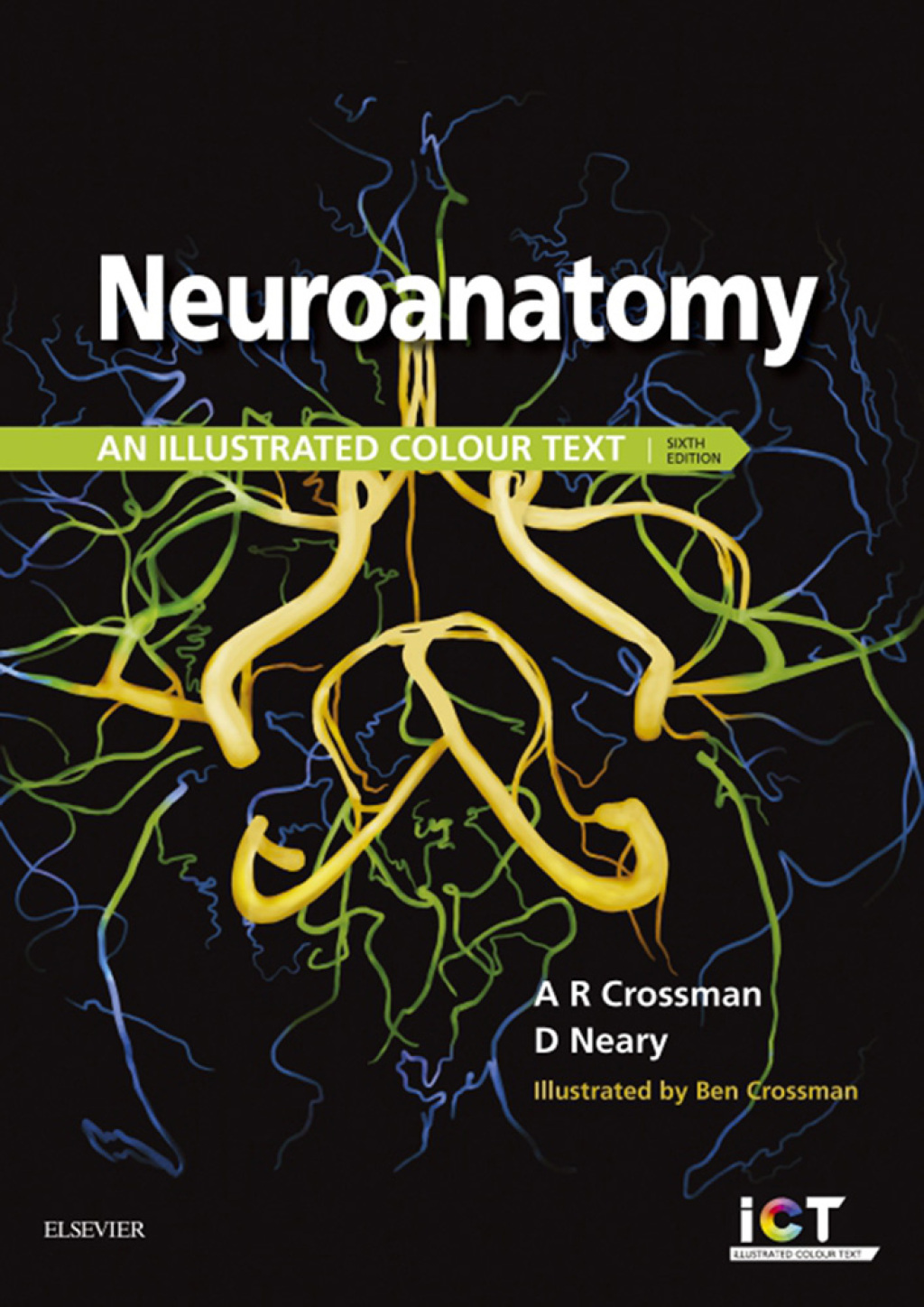 Neuroanatomy Illustrated Colour Text 6th Edition â€“ PDF/EPUB Version Downloadable