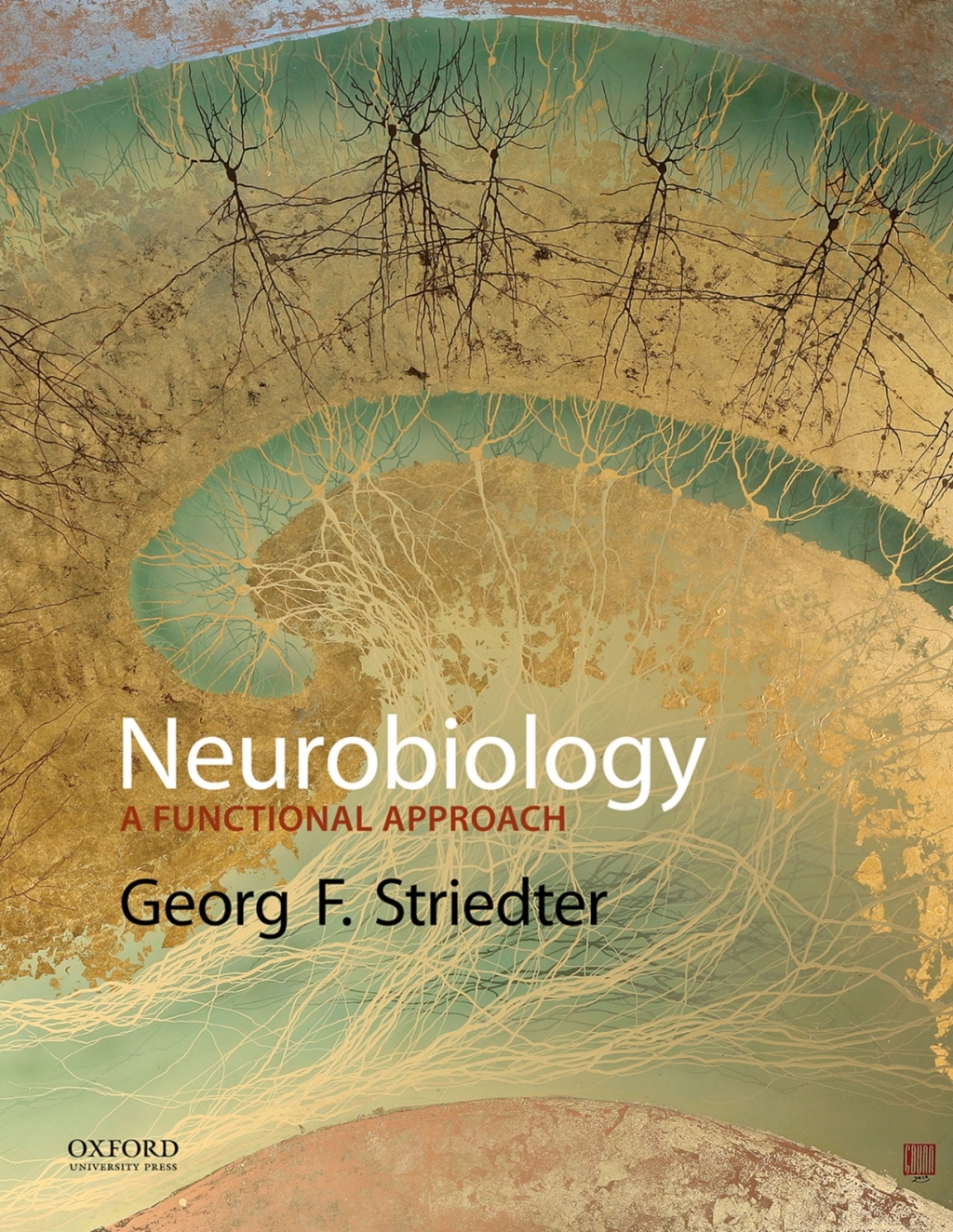 Neurobiology: A Functional Approach 1st Edition â€“ PDF/EPUB Version Downloadable