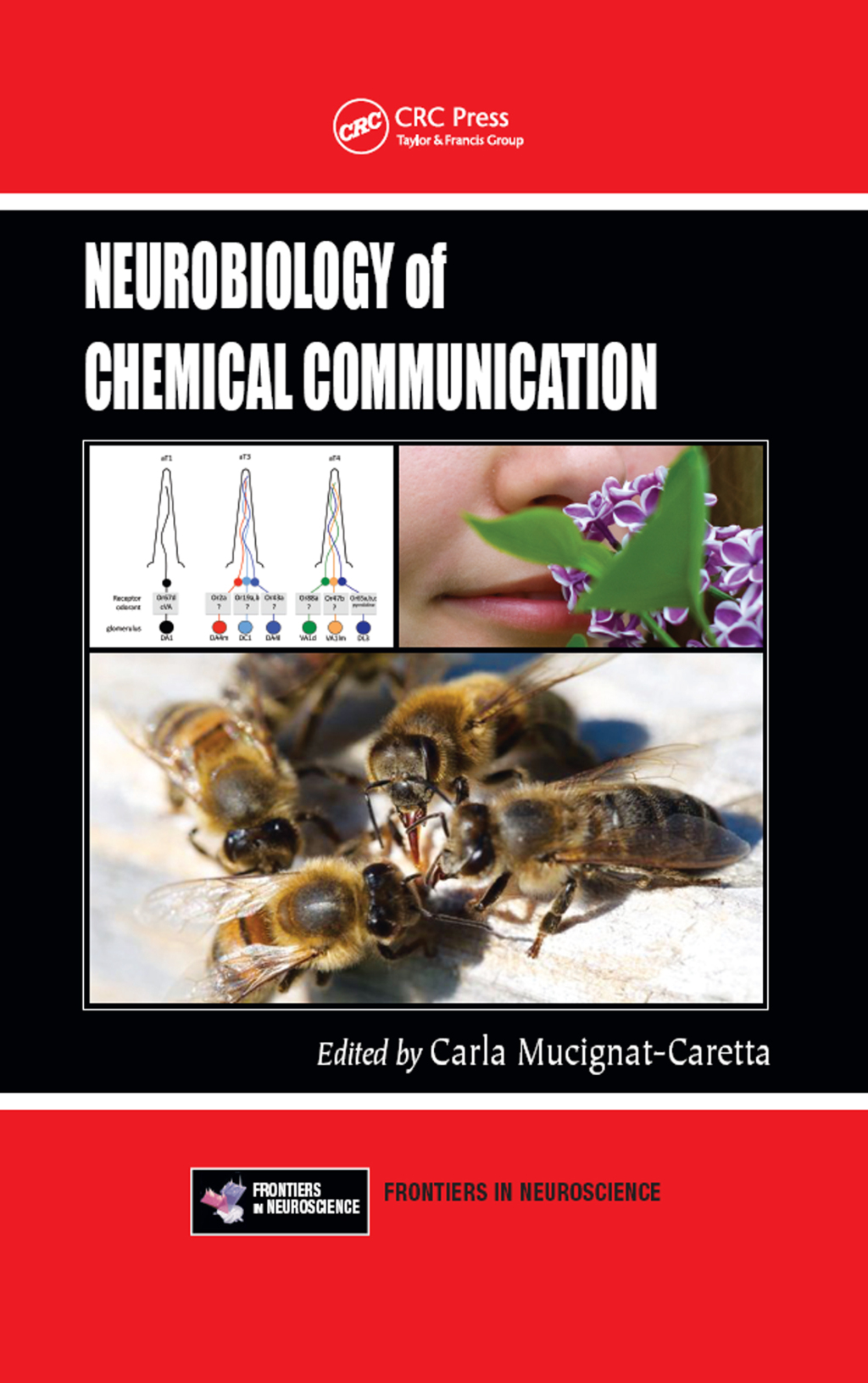Neurobiology of Chemical Communication 1st Edition â€“ PDF/EPUB Version Downloadable