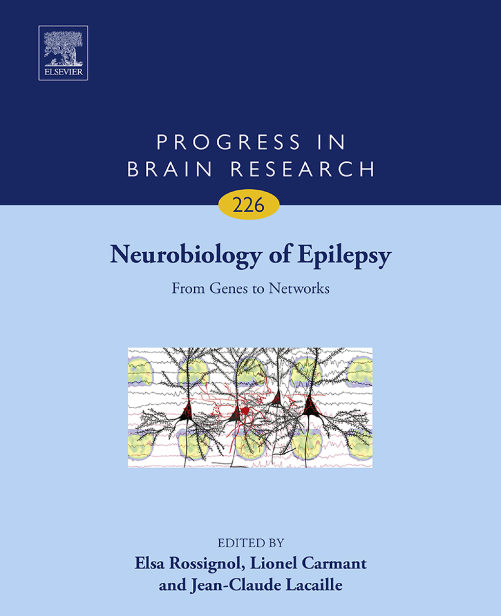 Neurobiology of Epilepsy From Genes to Networks  â€“ PDF/EPUB Version Downloadable