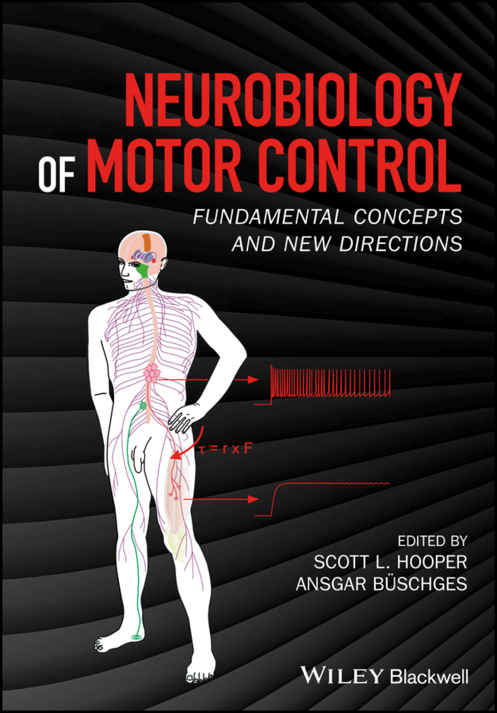Neurobiology of Motor Control: Fundamental Concepts and New Directions Fundamental Concepts and New Directions 1st Edition â€“ PDF/EPUB Version Downloadable