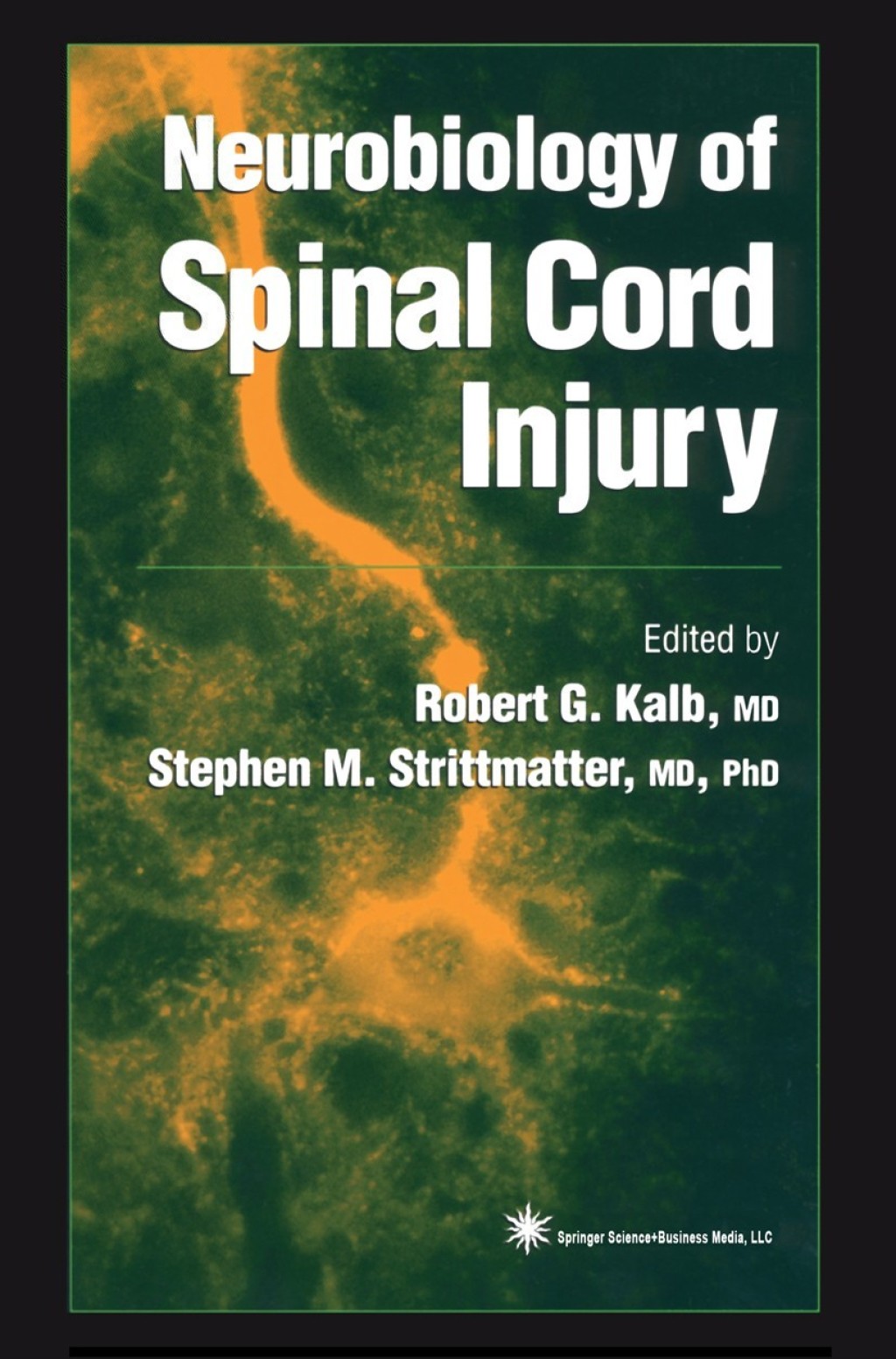 Neurobiology of Spinal Cord Injury 1st Edition â€“ PDF/EPUB Version Downloadable
