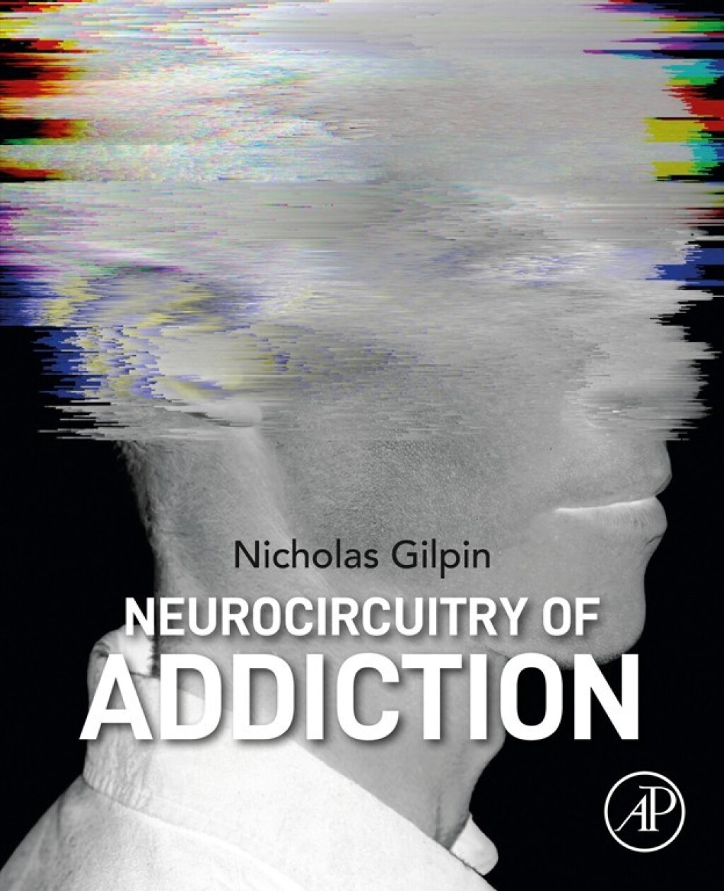 Neurocircuitry of Addiction 1st Edition â€“ PDF/EPUB Version Downloadable