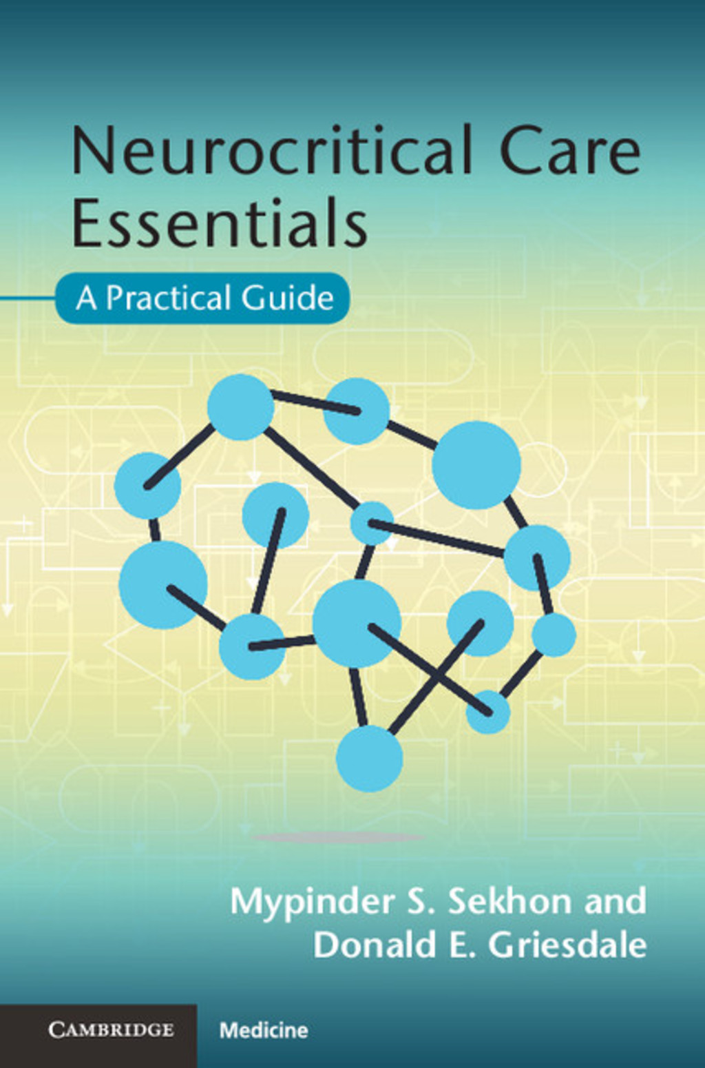 Neurocritical Care Essentials A Practical Guide 1st Edition â€“ PDF/EPUB Version Downloadable