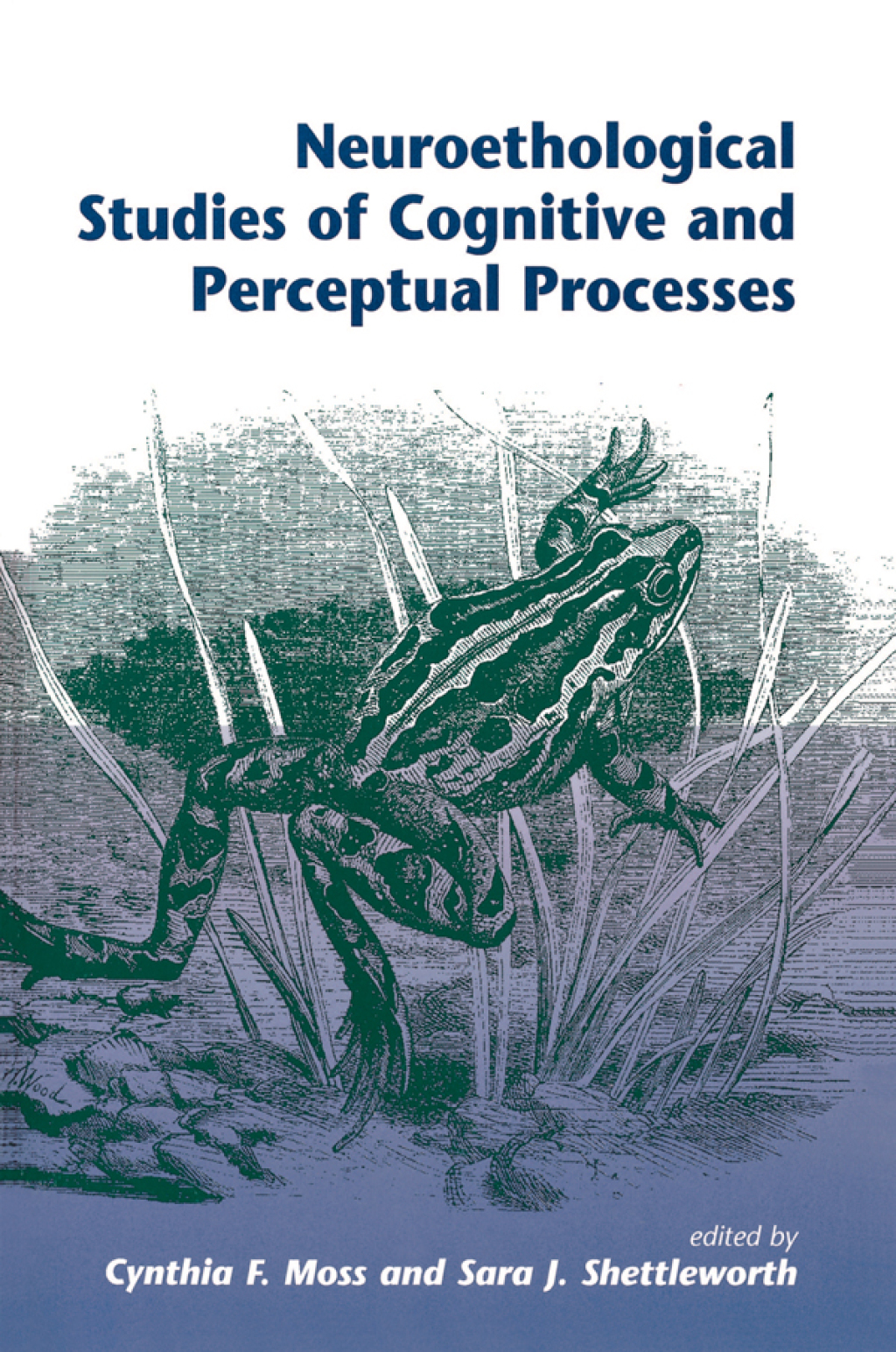 Neuroethological Studies Of Cognitive And Perceptual Processes 1st Edition â€“ PDF/EPUB Version Downloadable