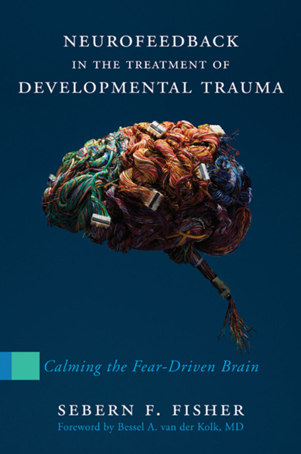 Neurofeedback in the Treatment of Developmental Trauma Calming the Fear-Driven Brain  â€“ PDF/EPUB Version Downloadable