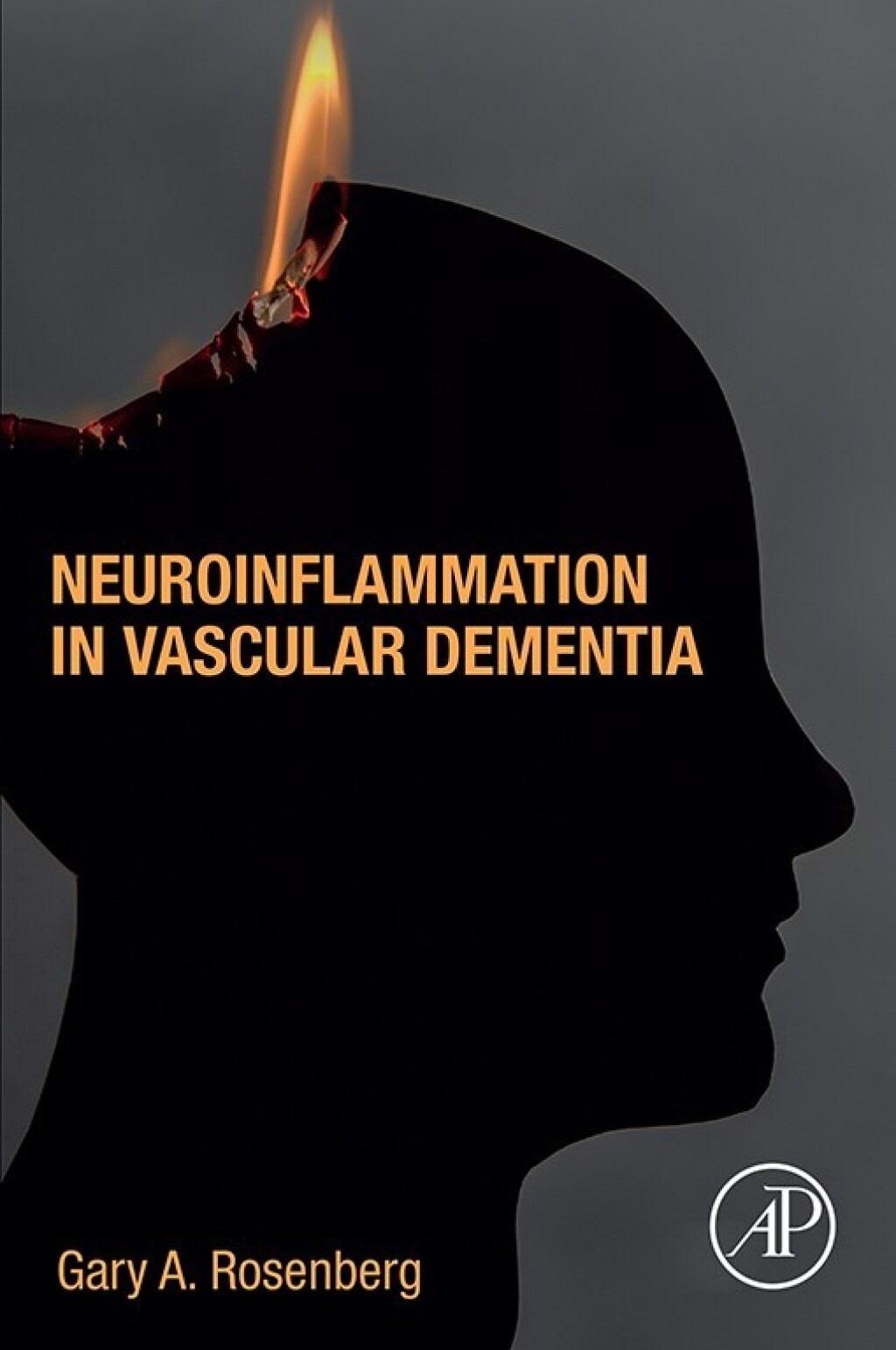 Neuroinflammation in Vascular Dementia 1st Edition â€“ PDF/EPUB Version Downloadable