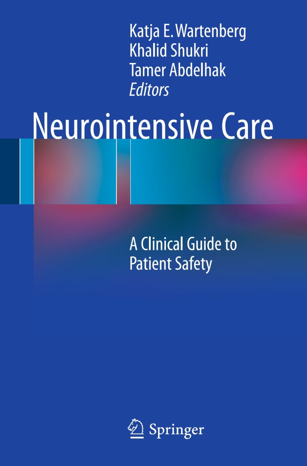Neurointensive Care A Clinical Guide to Patient Safety  â€“ PDF/EPUB Version Downloadable