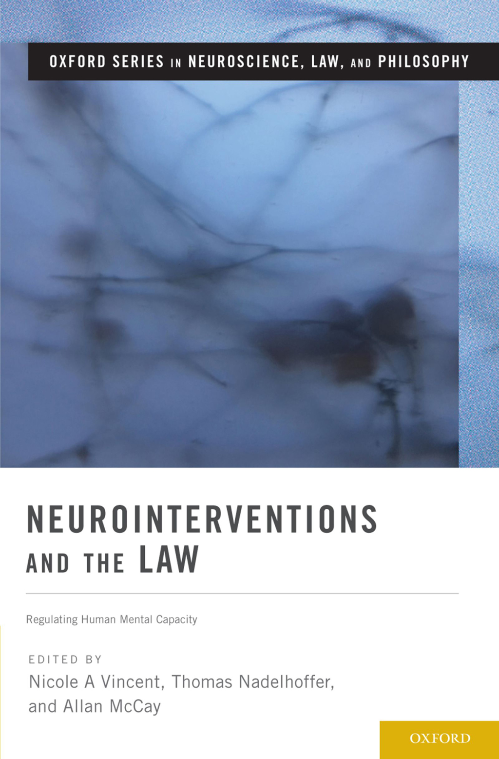 Neurointerventions and the Law Regulating Human Mental Capacity 1st Edition â€“ PDF/EPUB Version Downloadable