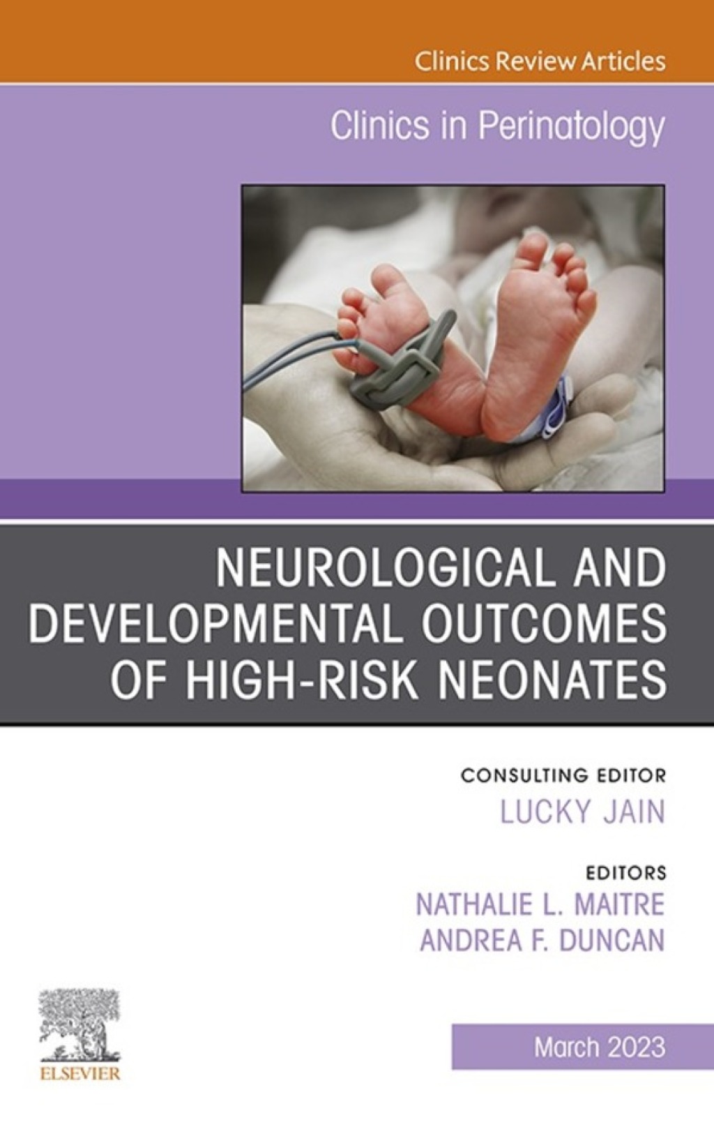Neurological and Developmental Outcomes of High-Risk Neonates, An Issue of Clinics in Perinatology 1st Edition â€“ PDF/EPUB Version Downloadable