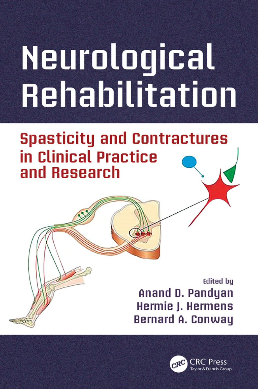 Neurological Rehabilitation Spasticity and Contractures in Clinical Practice and Research 1st Edition â€“ PDF/EPUB Version Downloadable