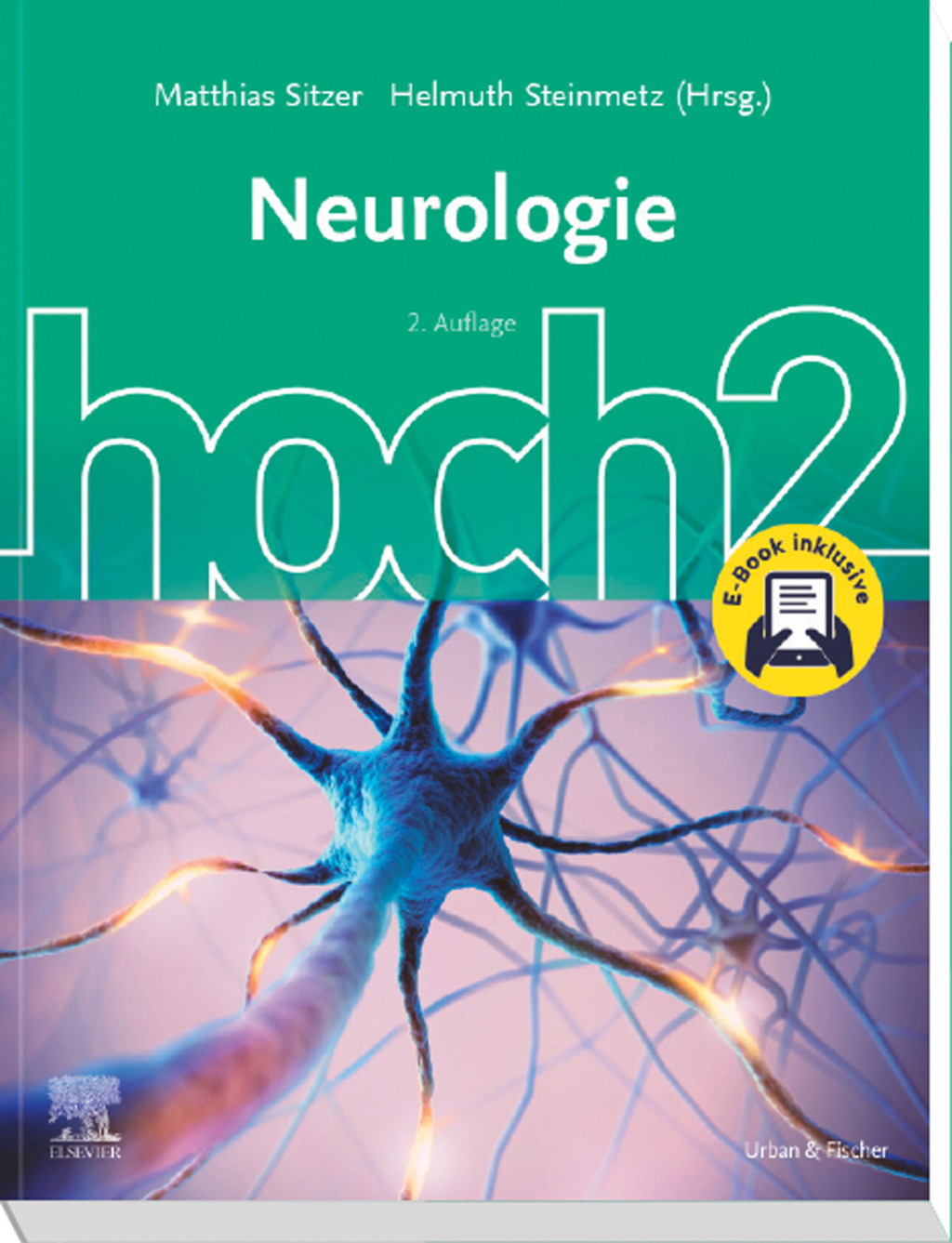 Neurologie hoch2 2nd Edition â€“ PDF/EPUB Version Downloadable