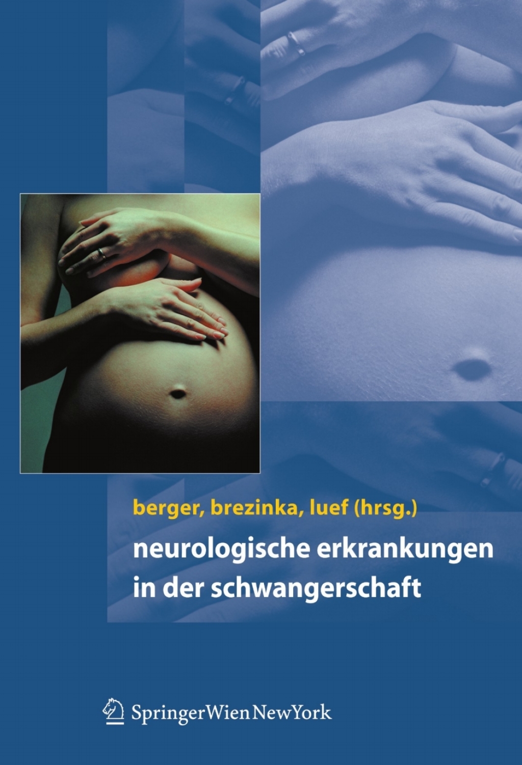 Neurologische Erkrankungen in der Schwangerschaft 1st Edition - (PDF/EPUB Version)