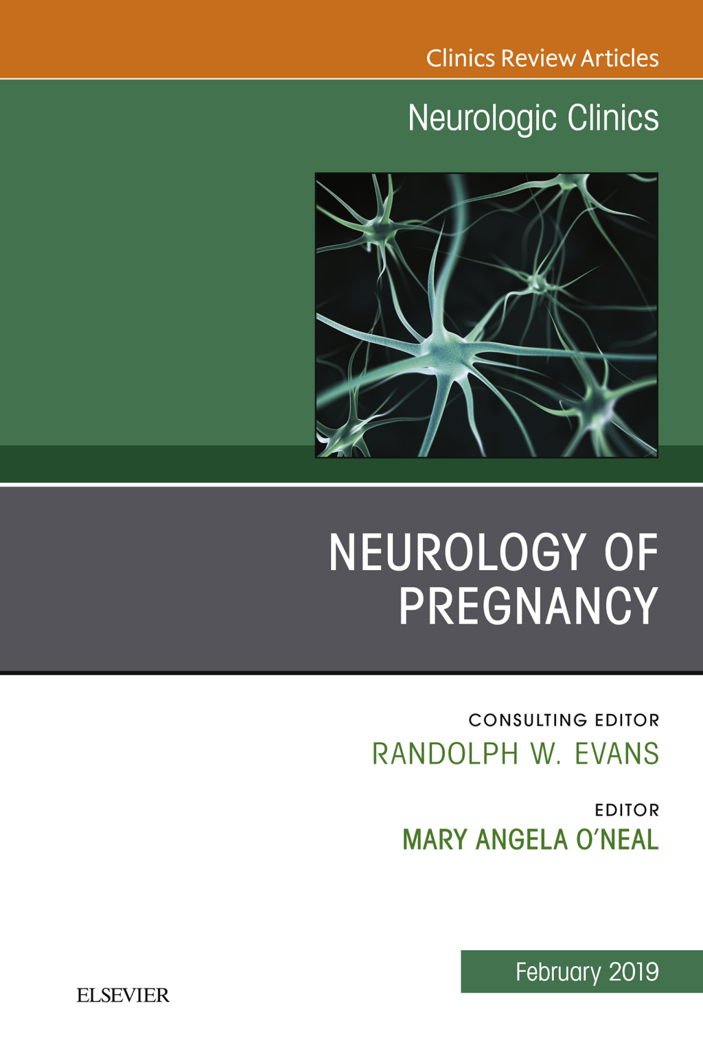 Neurology of Pregnancy, An Issue of Neurologic Clinics  â€“ PDF/EPUB Version Downloadable
