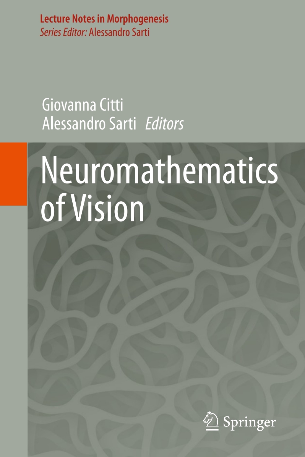 Neuromathematics of Vision  â€“ PDF/EPUB Version Downloadable