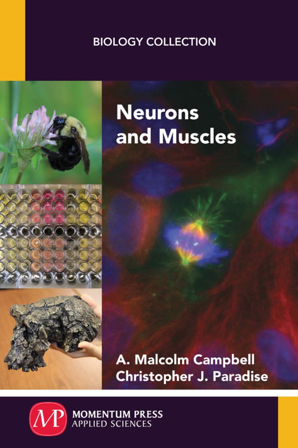 Neurons and Muscles  â€“ PDF/EPUB Version Downloadable