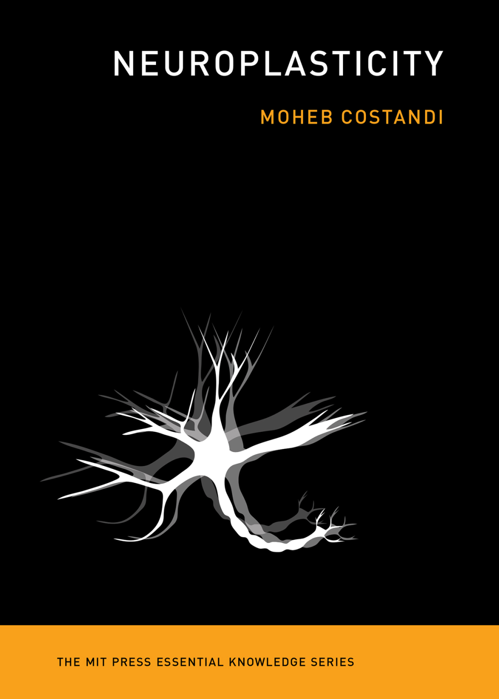 Neuroplasticity - (PDF/EPUB Version)