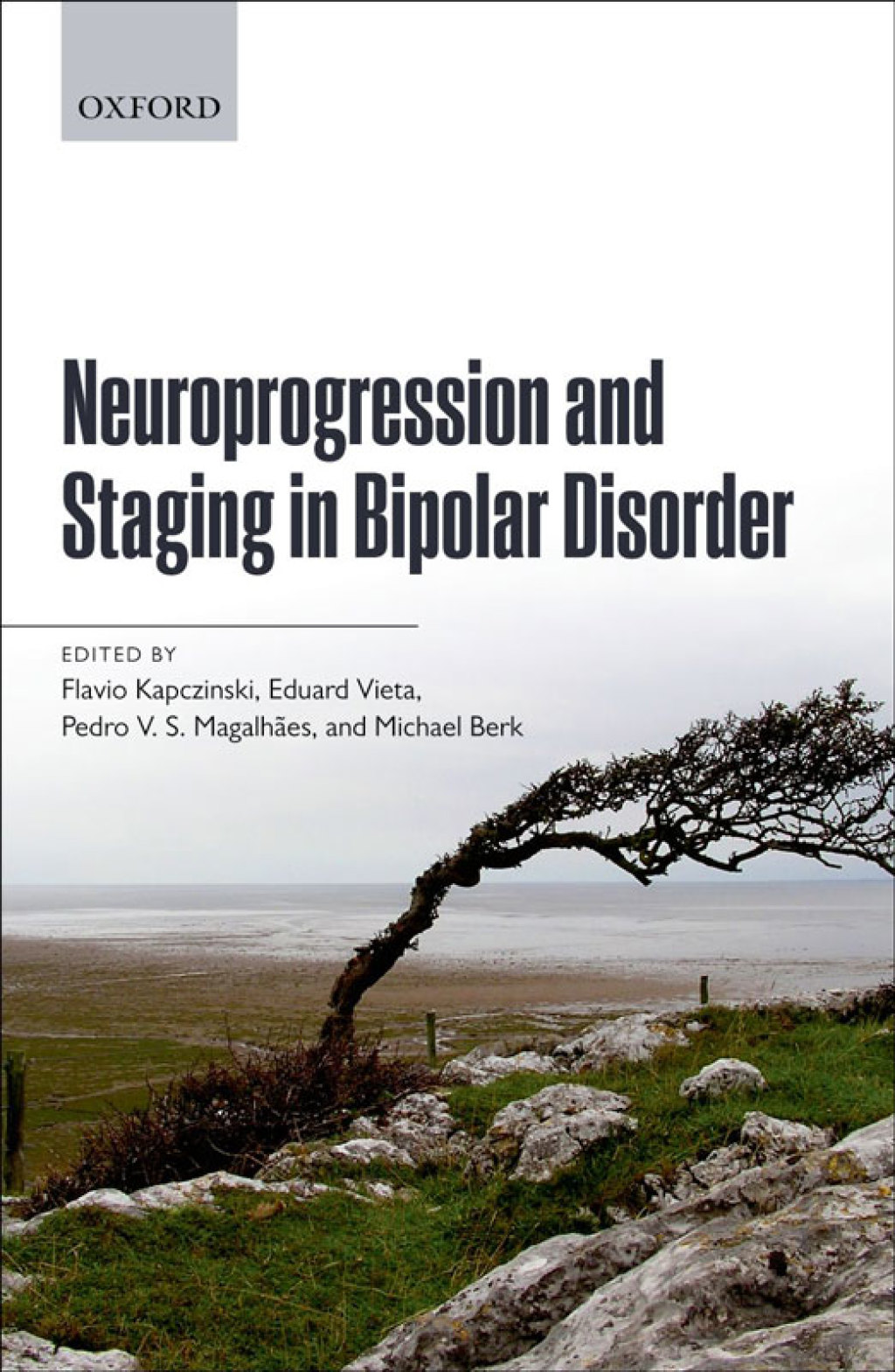 Neuroprogression and Staging in Bipolar Disorder 1st Edition â€“ PDF/EPUB Version Downloadable