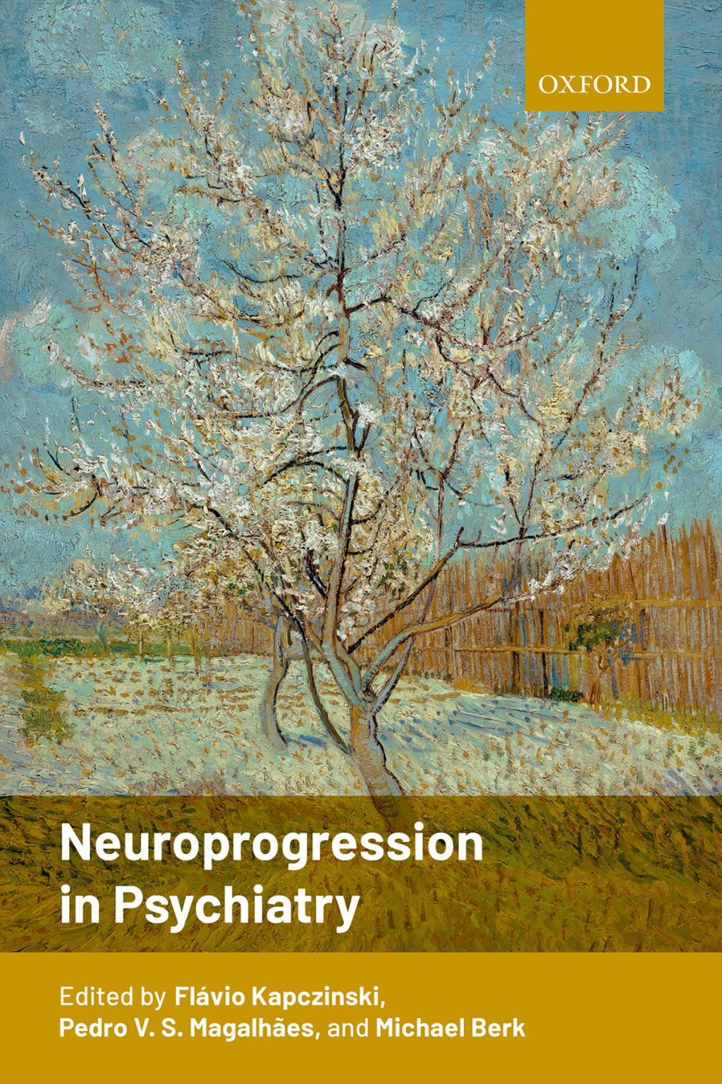 Neuroprogression in Psychiatry 1st Edition â€“ PDF/EPUB Version Downloadable