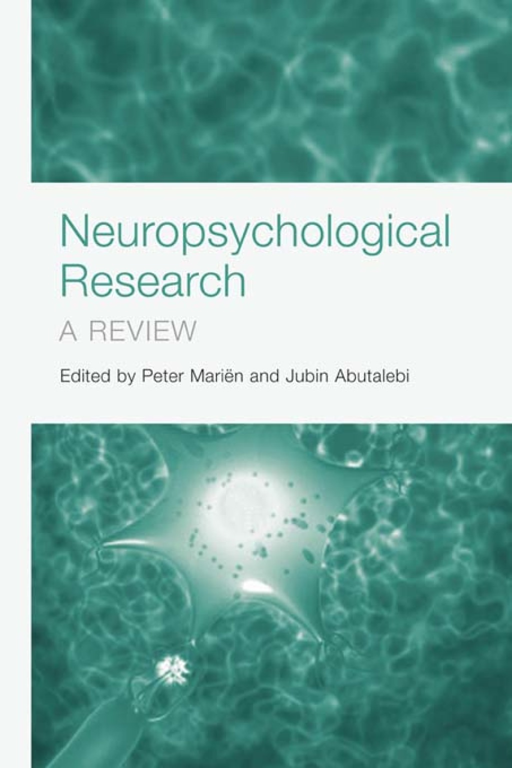 Neuropsychological Research A Review 1st Edition â€“ PDF/EPUB Version Downloadable