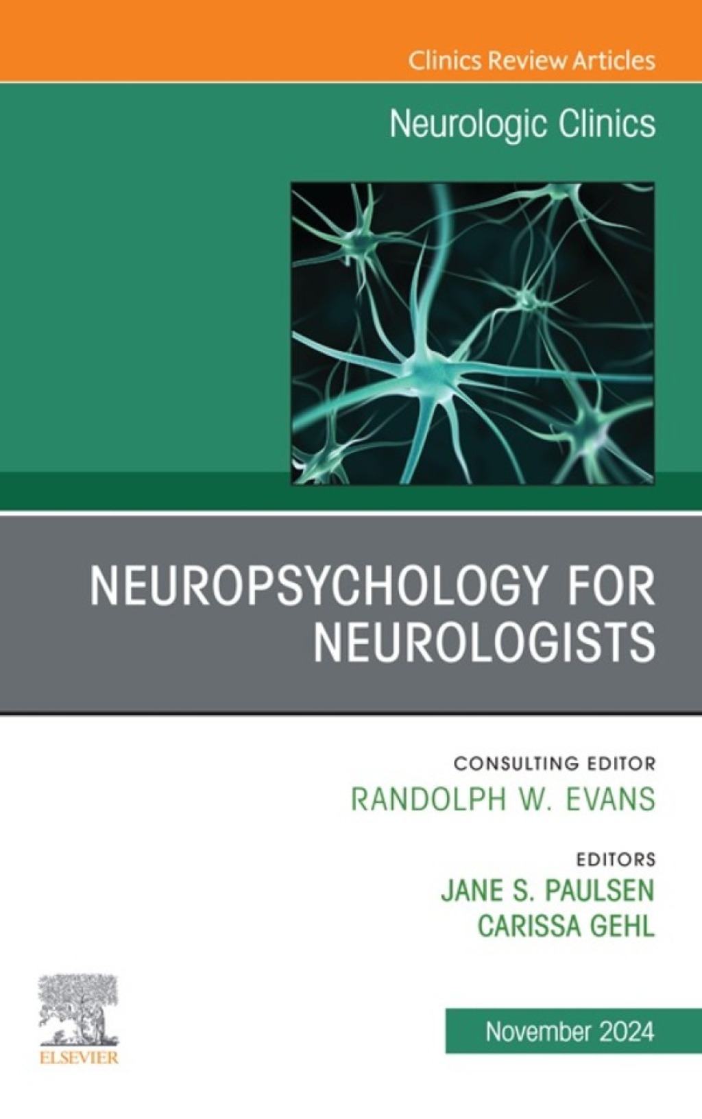 Neuropsychology for Neurologists, An Issue of Neurologic Clinics 1st Edition â€“ PDF/EPUB Version Downloadable
