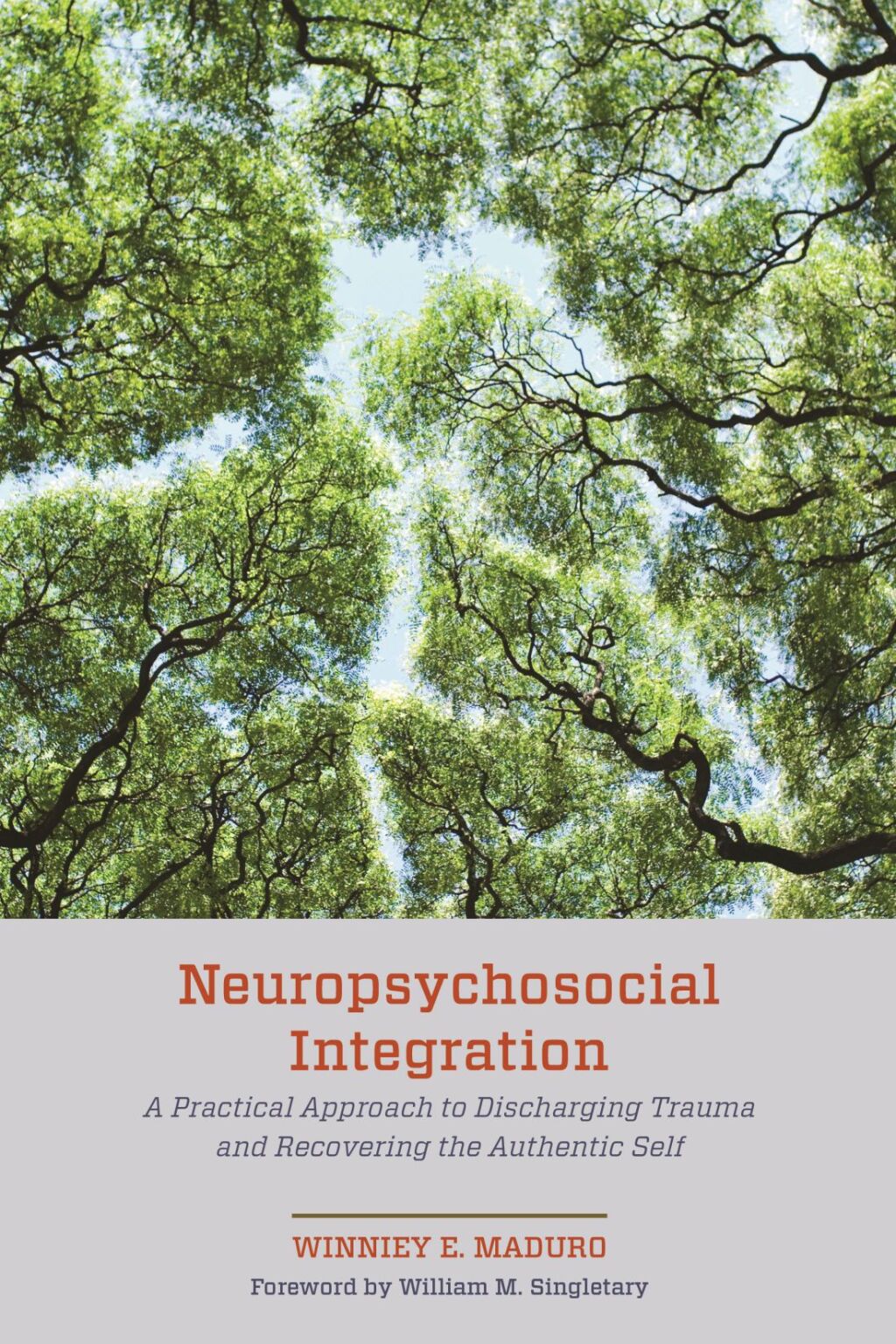 Neuropsychosocial Integration A Practical Approach to Discharging Trauma and Recovering the Authentic Self - (PDF/EPUB Version)