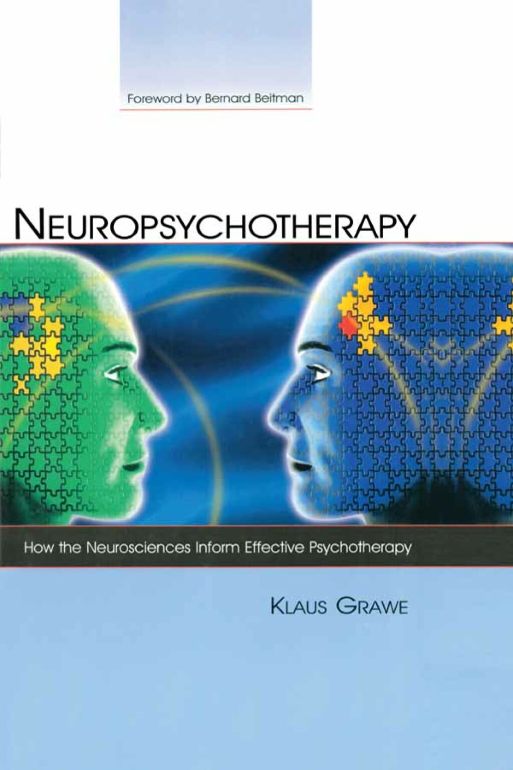 Neuropsychotherapy How the Neurosciences Inform Effective Psychotherapy 1st Edition â€“ PDF/EPUB Version Downloadable