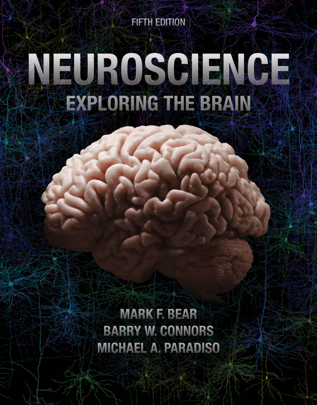 Neuroscience: Exploring the Brain 5th Edition â€“ PDF/EPUB Version Downloadable