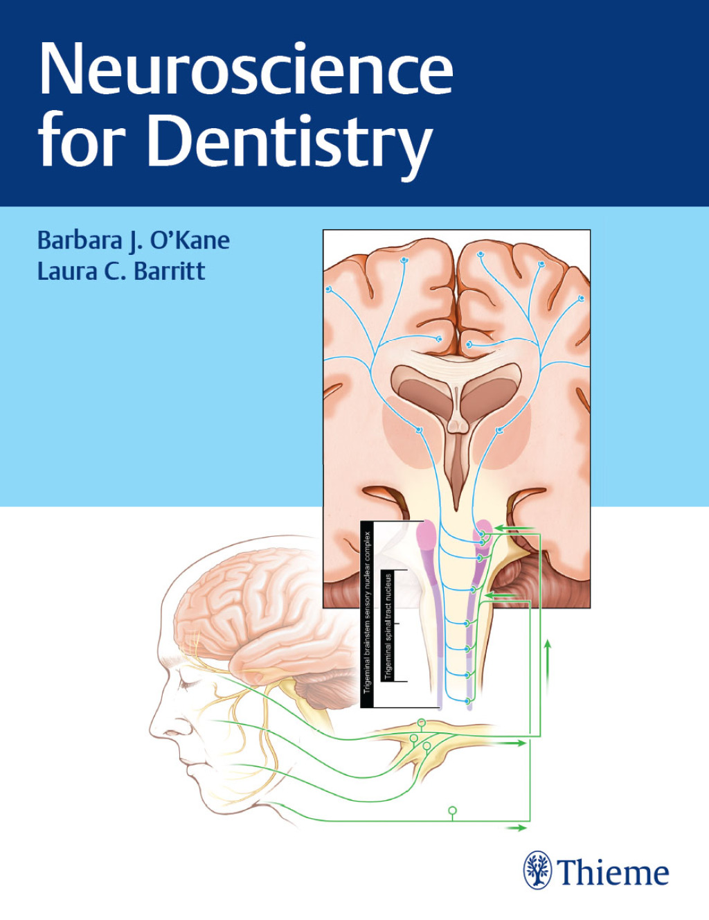 Neuroscience for Dentistry 1st Edition â€“ PDF/EPUB Version Downloadable