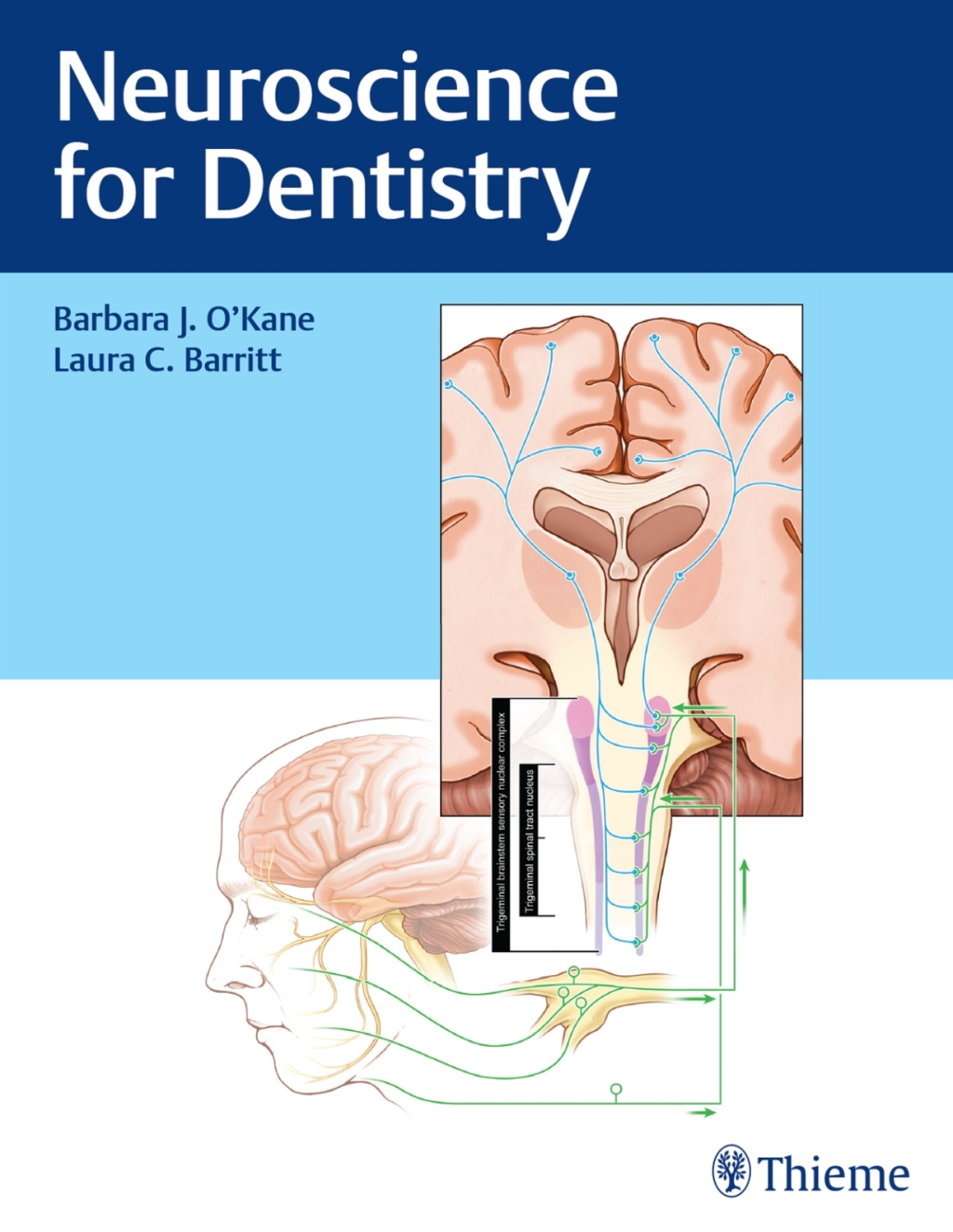 Neuroscience for Dentistry 1st Edition â€“ PDF/EPUB Version Downloadable