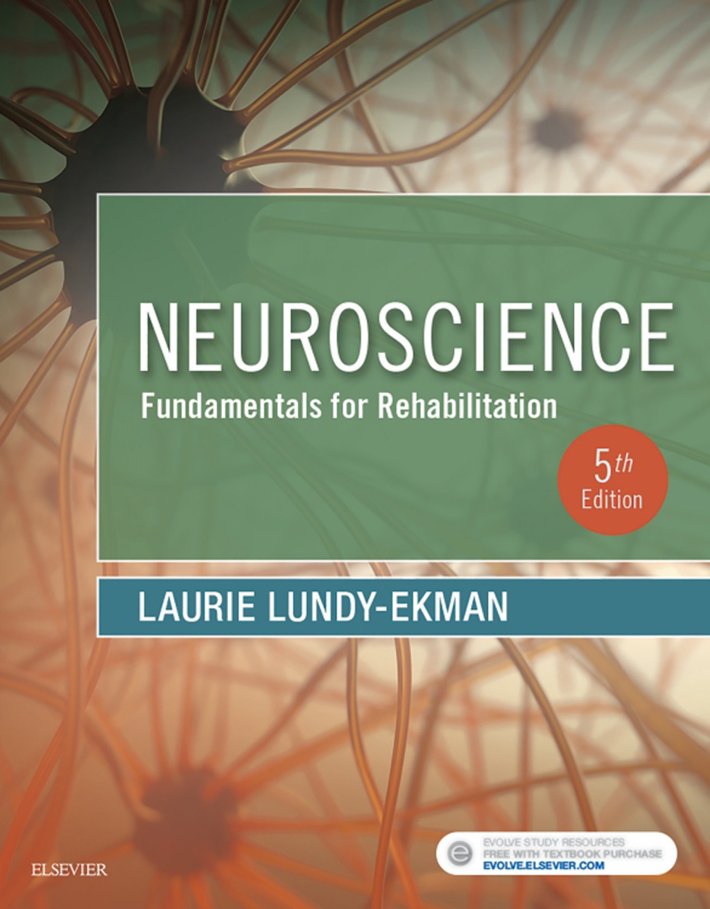 Neuroscience: Fundamentals for Rehabilitation 5th Edition â€“ PDF/EPUB Version Downloadable