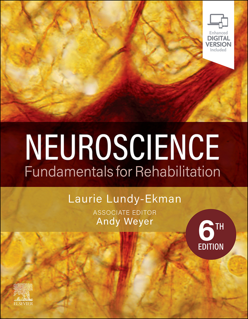 Neuroscience Fundamentals for Rehabilitation 6th Edition â€“ PDF/EPUB Version Downloadable