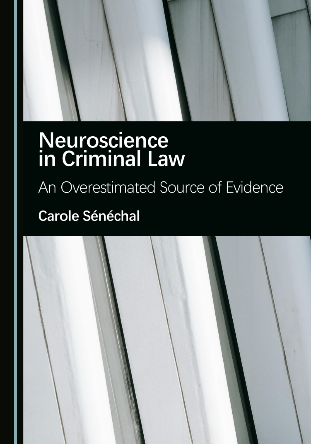 Neuroscience in Criminal Law An Overestimated Source of Evidence 1st Edition â€“ PDF/EPUB Version Downloadable