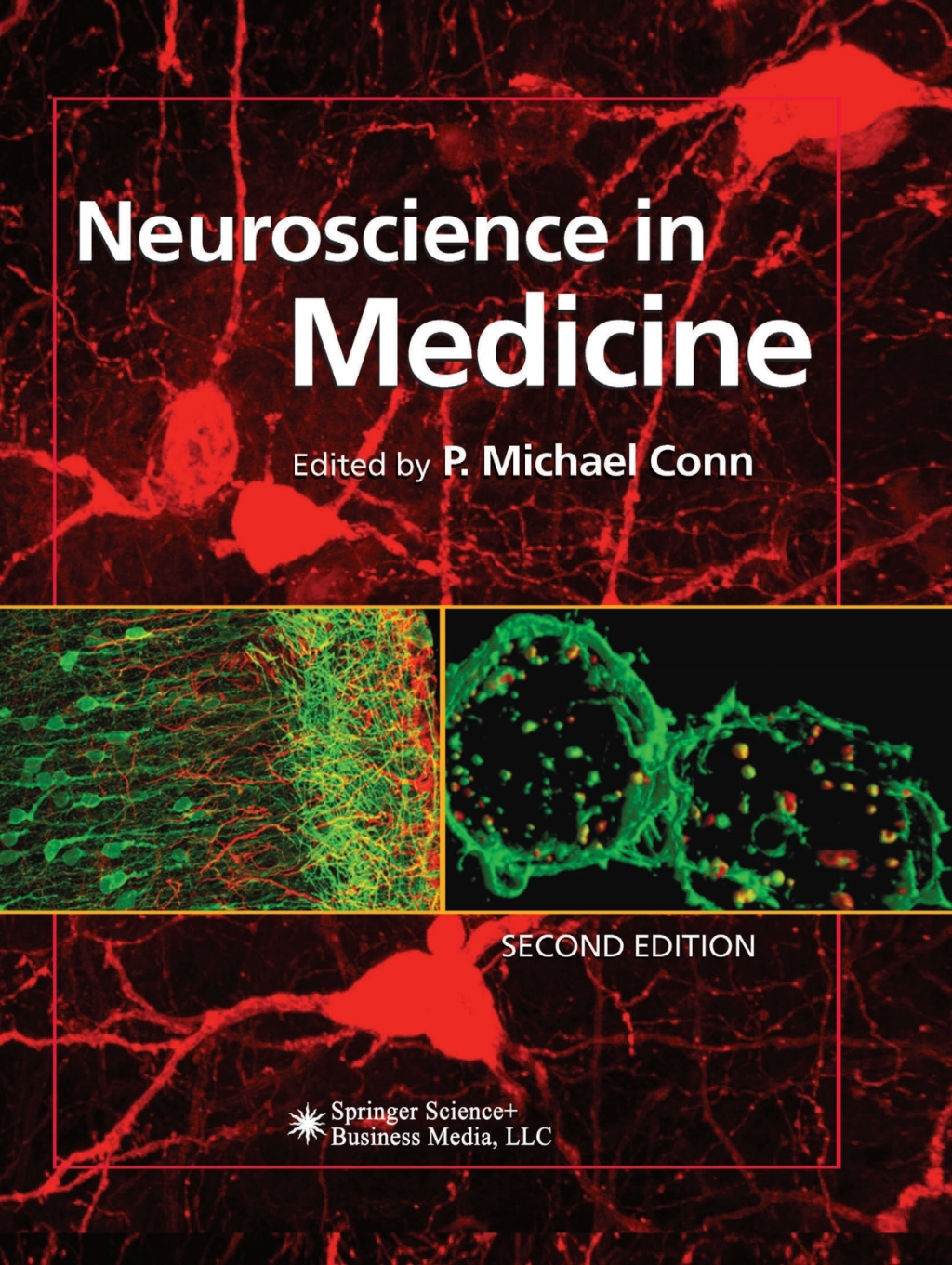 Neuroscience in Medicine 2nd Edition â€“ PDF/EPUB Version Downloadable