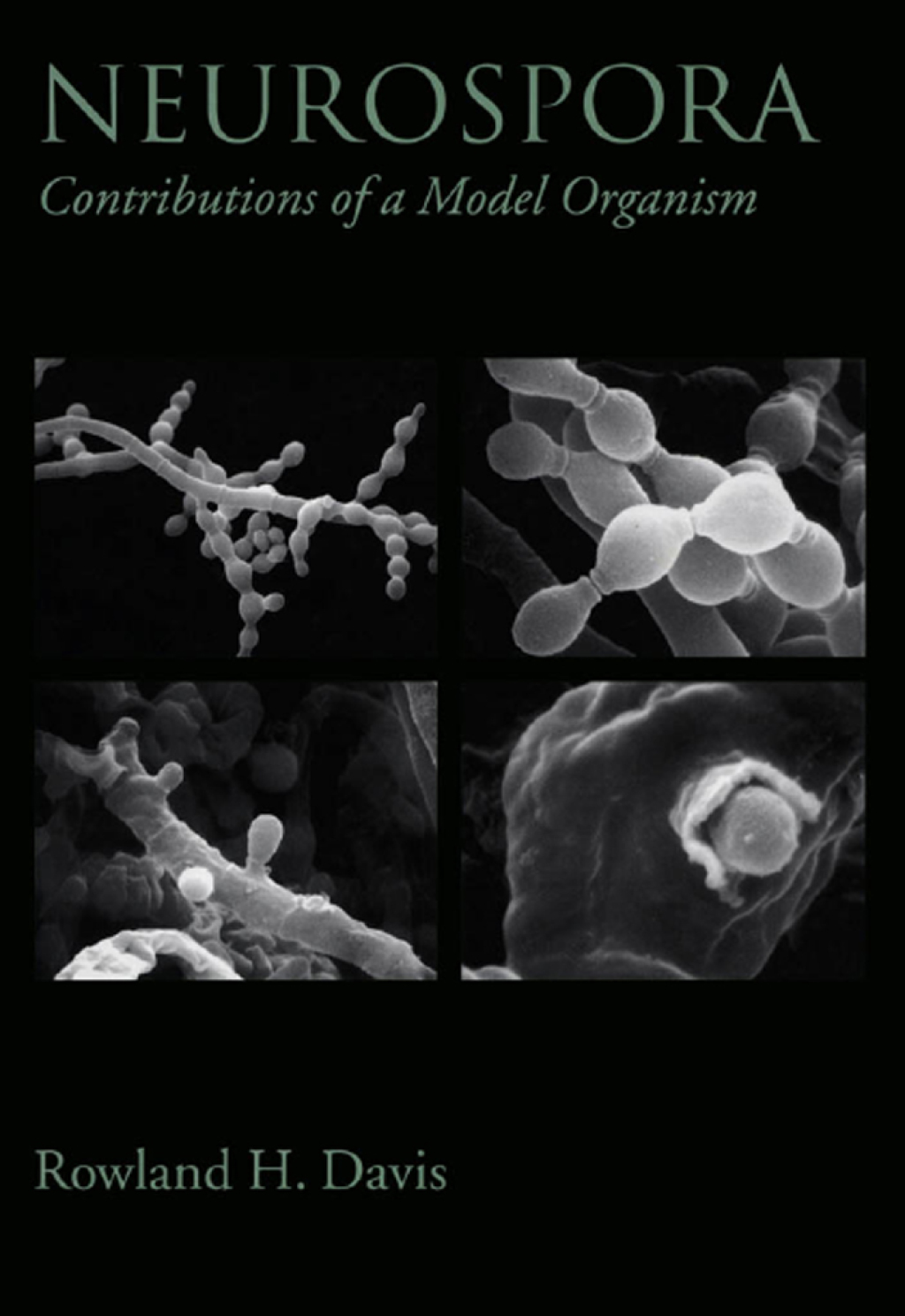 Neurospora Contributions of a Model Organism  â€“ PDF/EPUB Version Downloadable