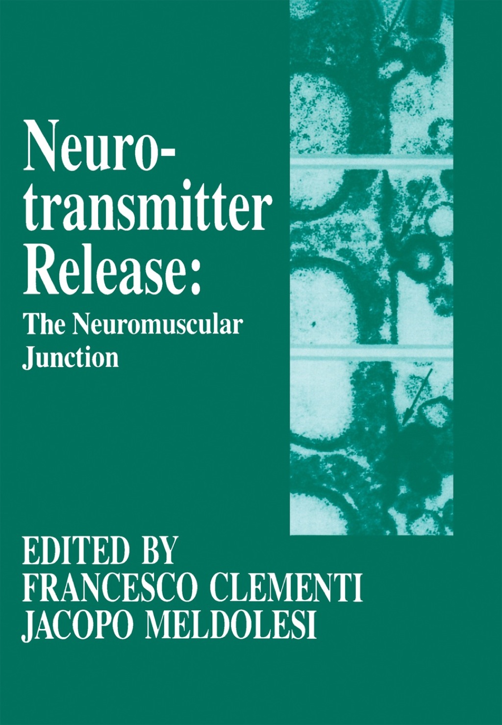 Neurotransmitter Release the Neuromuscular Junction  â€“ PDF/EPUB Version Downloadable