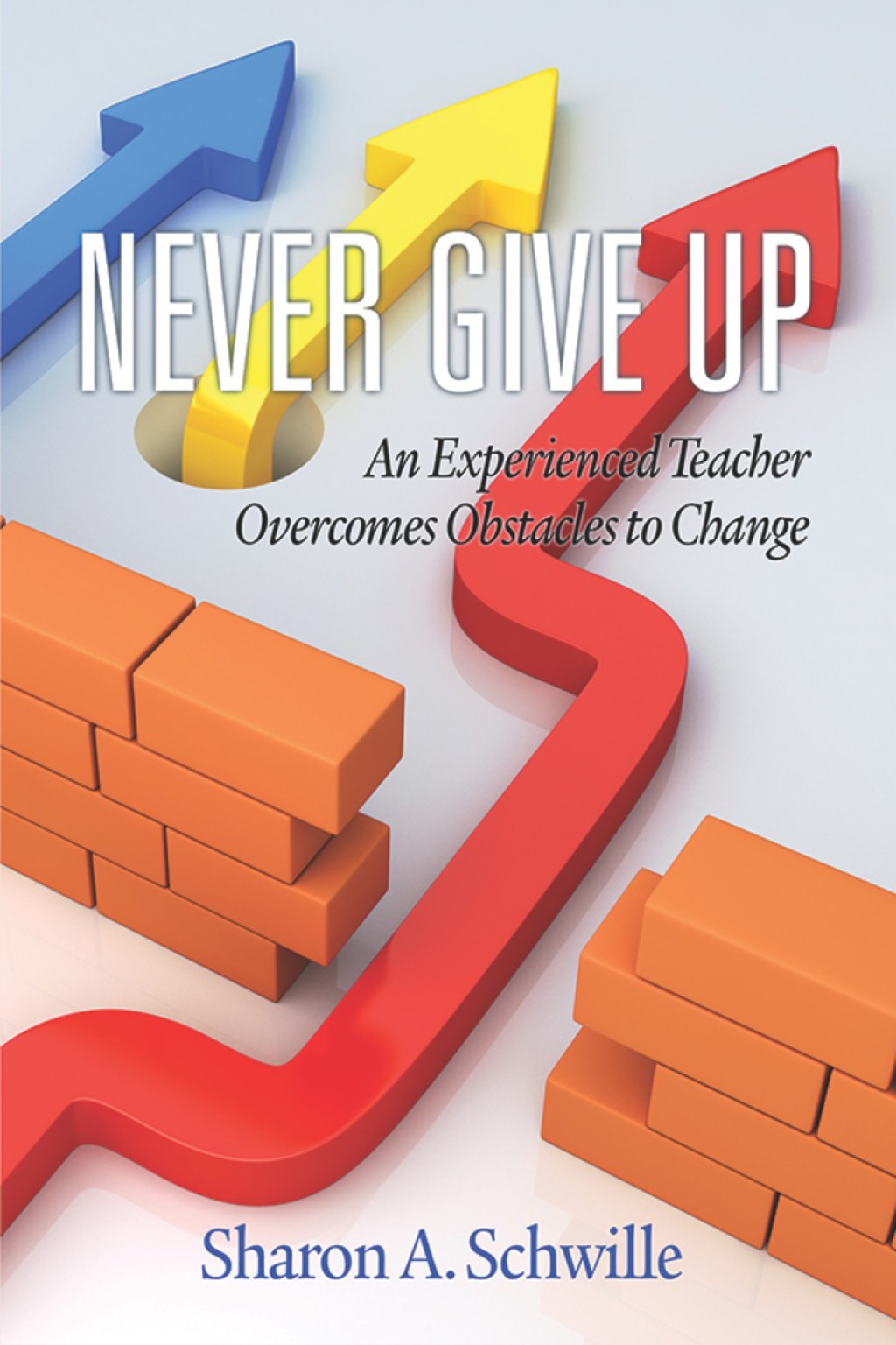 Never Give Up: An Experienced Teacher Overcomes Obstacles to Change  â€“ PDF/EPUB Version Downloadable