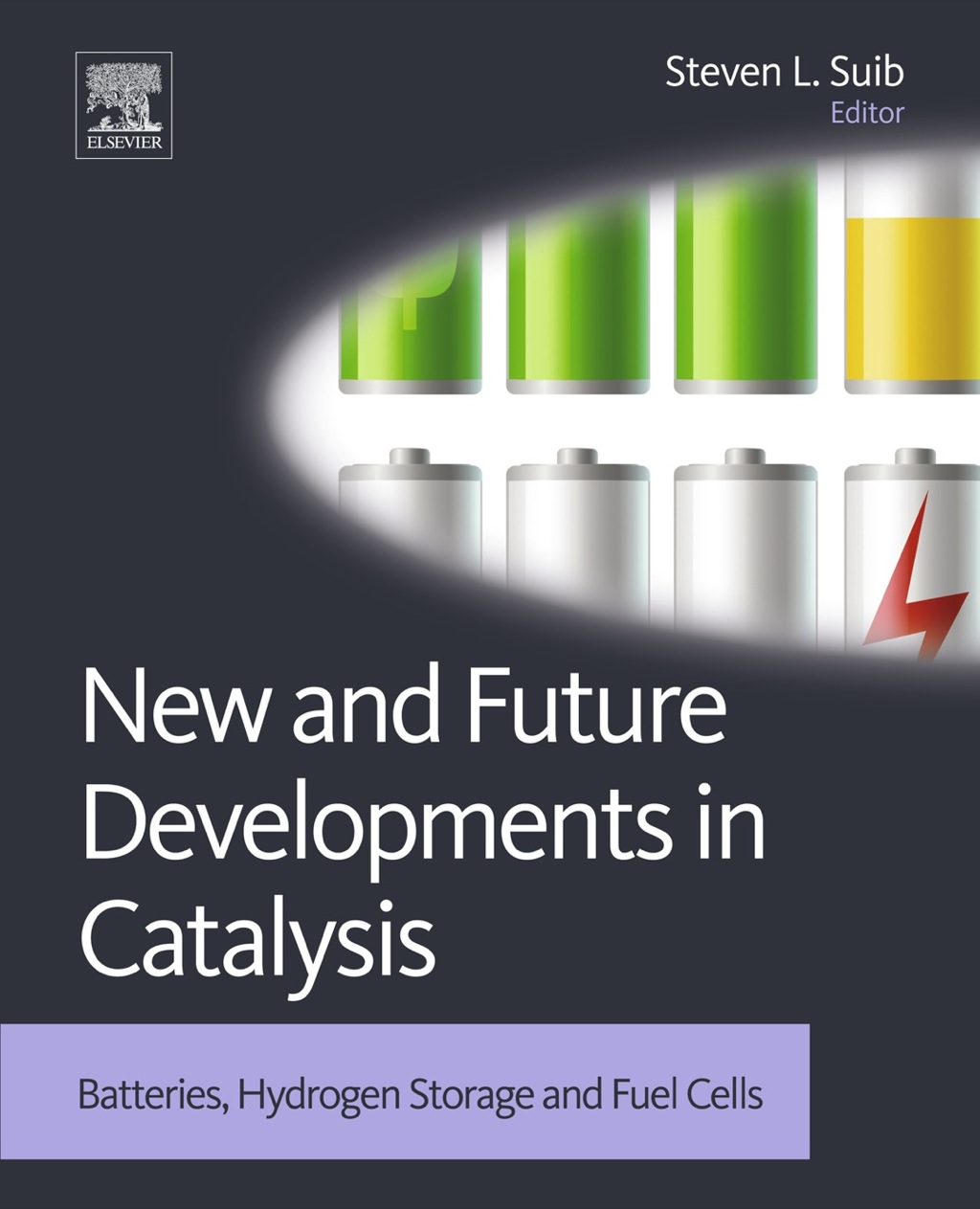 New and Future Developments in Catalysis: Batteries, Hydrogen Storage and Fuel Cells 1st Edition â€“ PDF/EPUB Version Downloadable