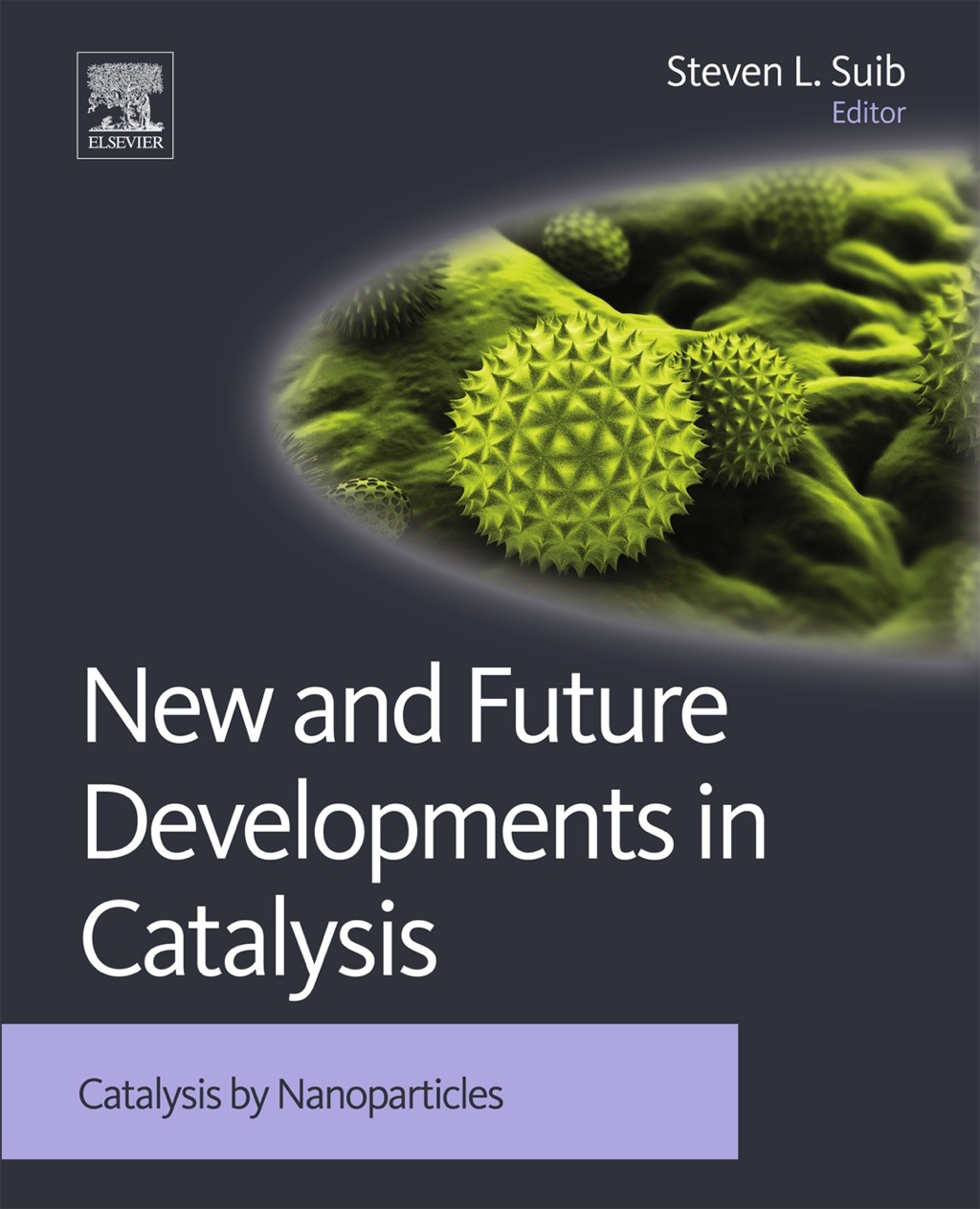 New and Future Developments in Catalysis: Catalysis by Nanoparticles  â€“ PDF/EPUB Version Downloadable